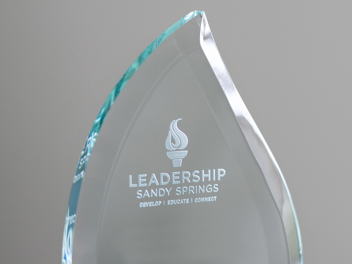 Leadership Sandy Springs Rebranding