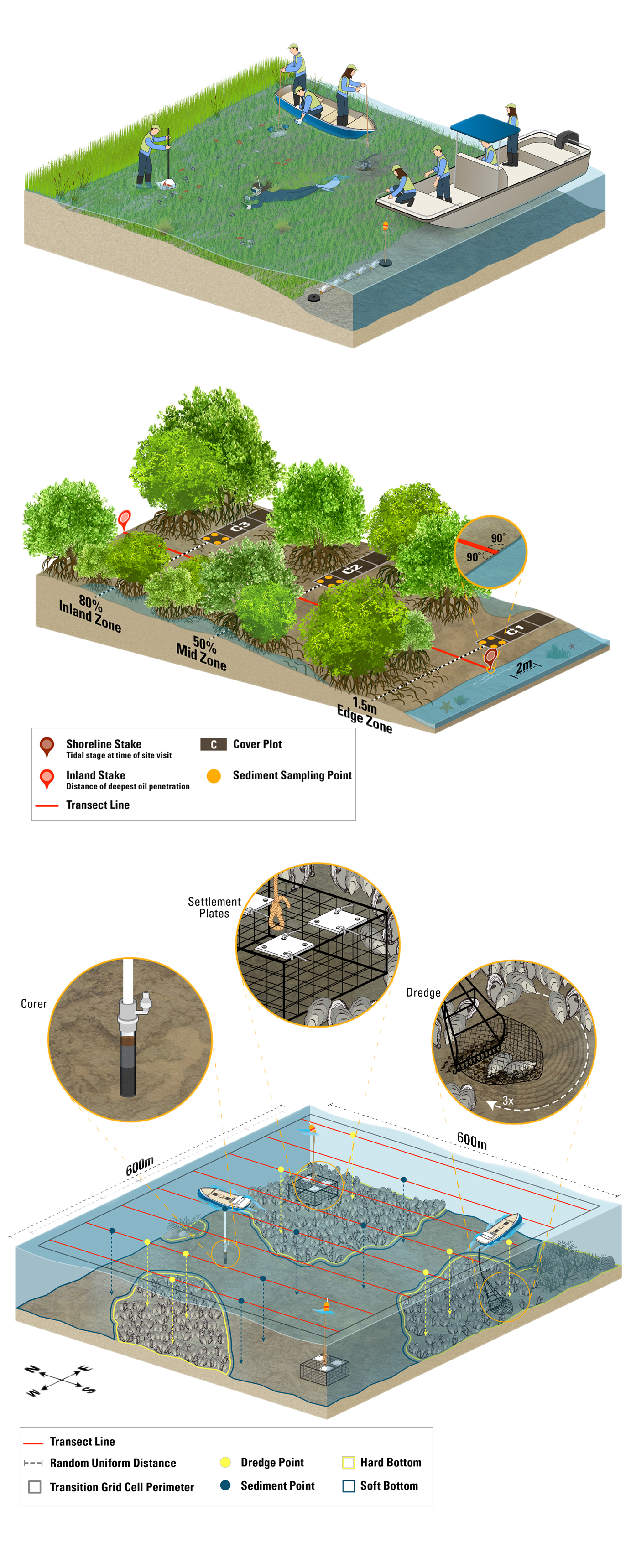 Technical Illustrations and Data Visualization